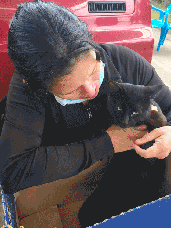 patitas-campesinas-esterilizaciones-home-800x600